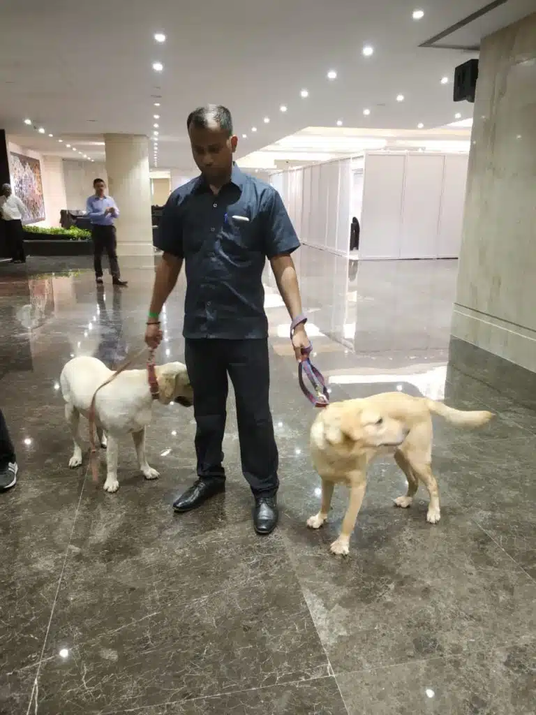 Sniffer Dog Security Services available for temporary or permanent requirement